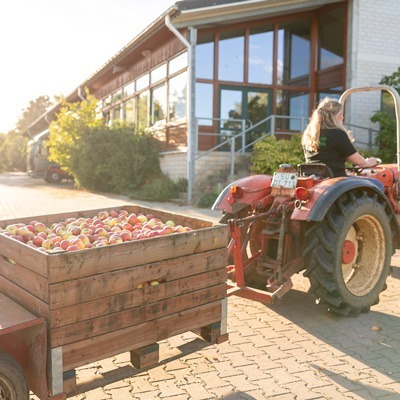 Naturhof-Wolfsberg_Impressionen_Die-Ernte-kommt-an_400x400 Christiane Niemeyer fährt die frisch geernteten Äpfel mit dem Traktor zur Sortieranlage